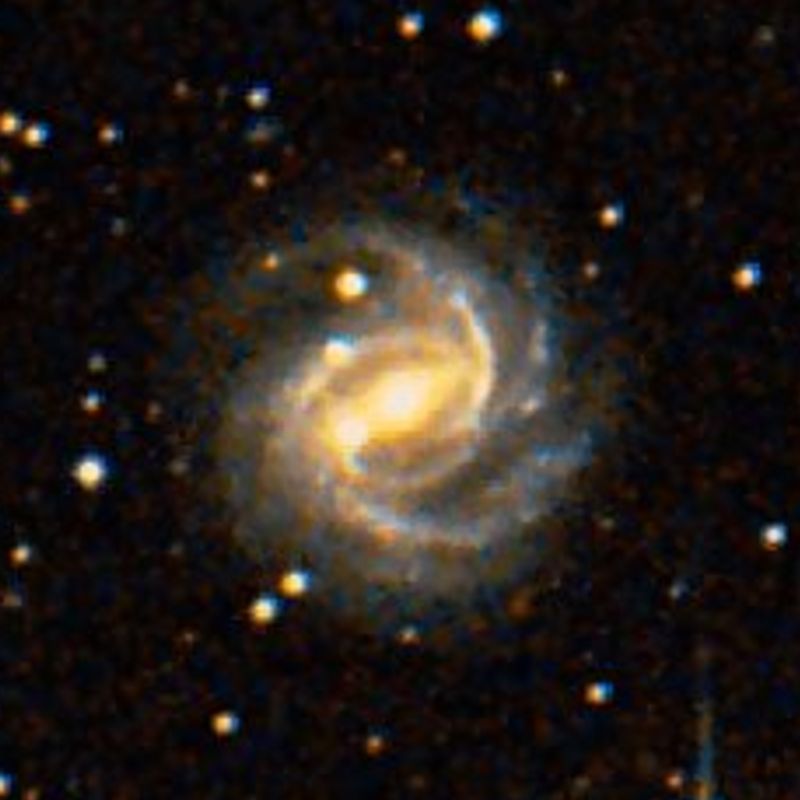 NGC 2642 DSS2 彩色圖