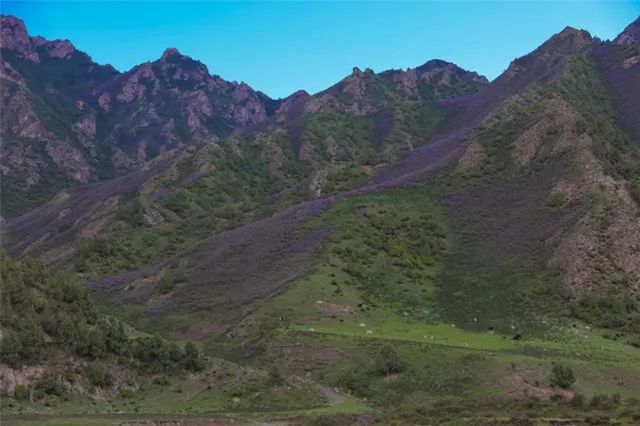 雲行山