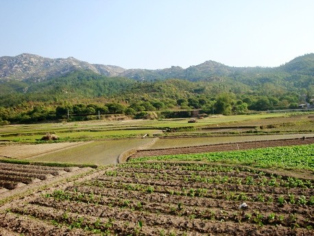 葵山村