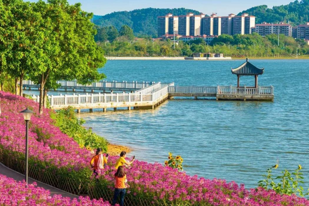 增城湖心島旅遊風景區