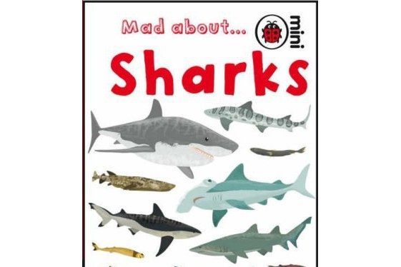 Mad About Sharks 小瓢蟲書系-讓人著迷的鯊魚