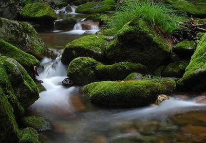 草河掌鎮