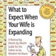 What to Expect When Your Wife Is Expanding(2007年Andrews McMeel Pub出版的圖書)