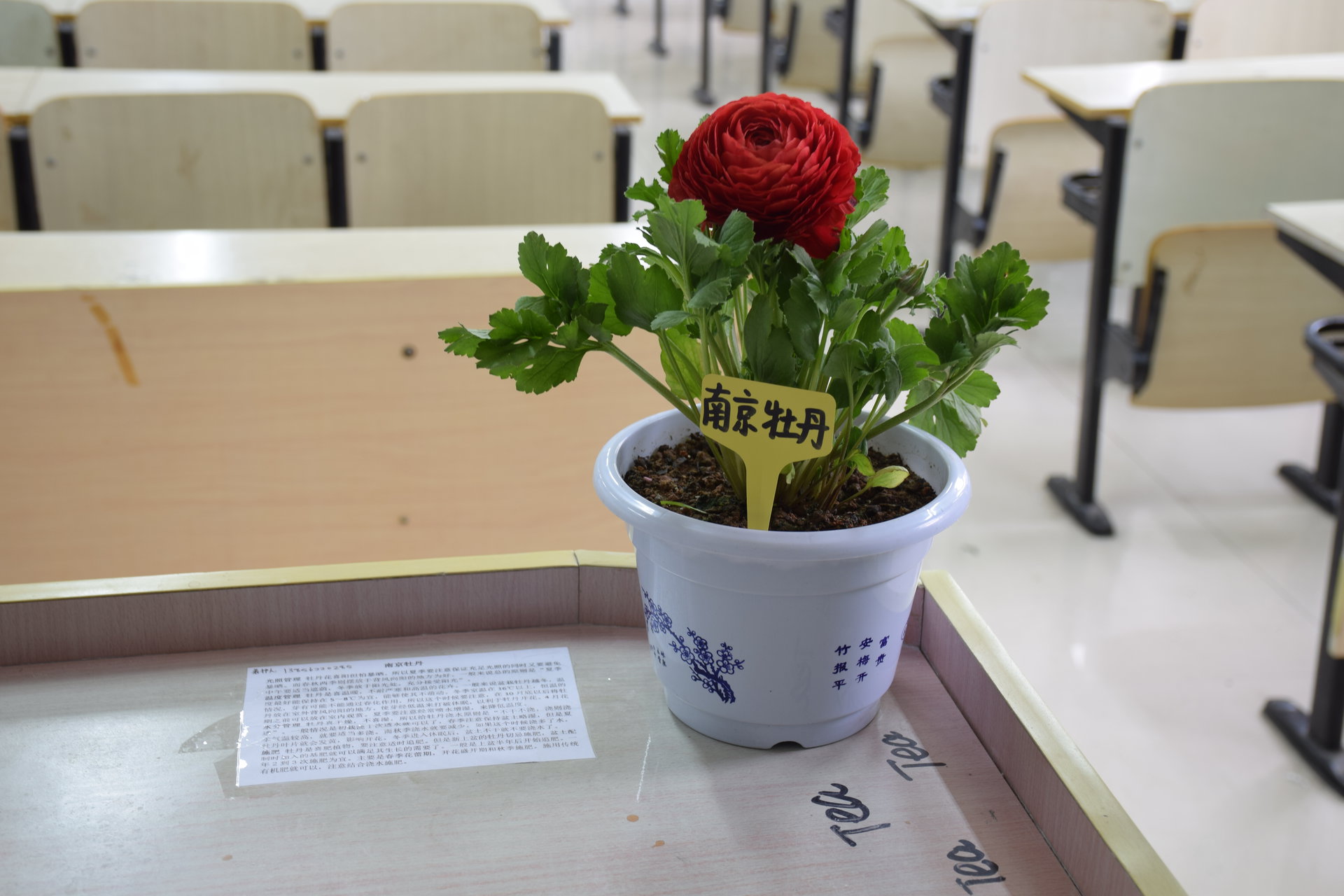 銅陵學院大學生綠野環保協會