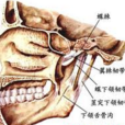 放射性癌形成