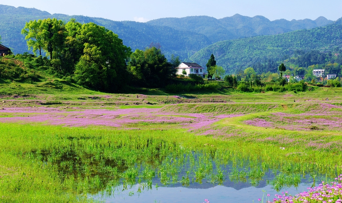 湖南新化龍灣國家濕地公園