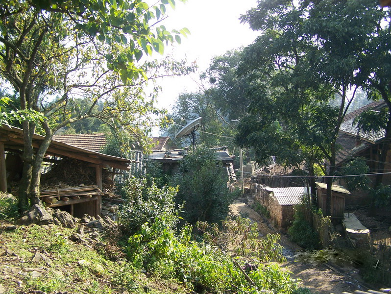 馬洞村(雲南省紅河市箇舊市錫城鎮芹菜塘村下轄村)