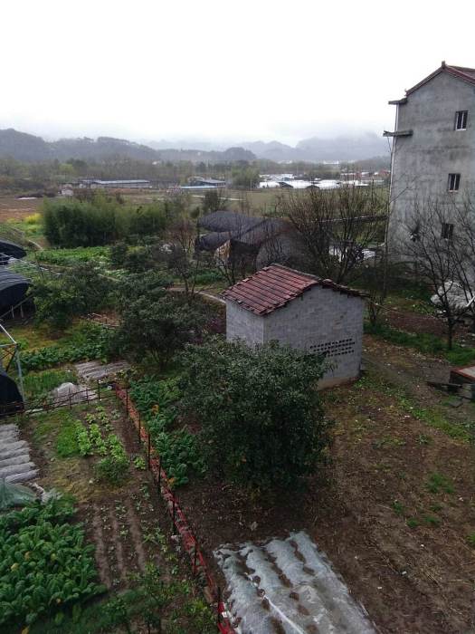 垟頭村(浙江省溫州市瑞安市塘下鎮下轄村)