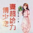 傅少寵妻超給力(亂世小姐創作的網路小說)