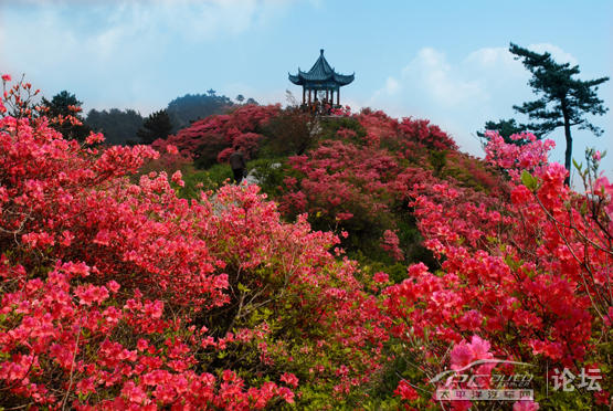 雙峰森林公園