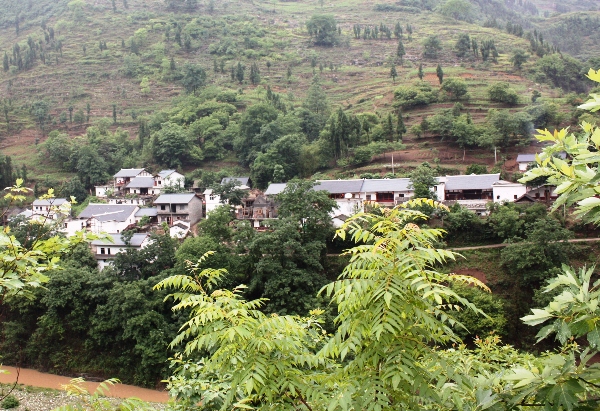 河壩村(重慶市秀山縣涌洞鄉下轄村)