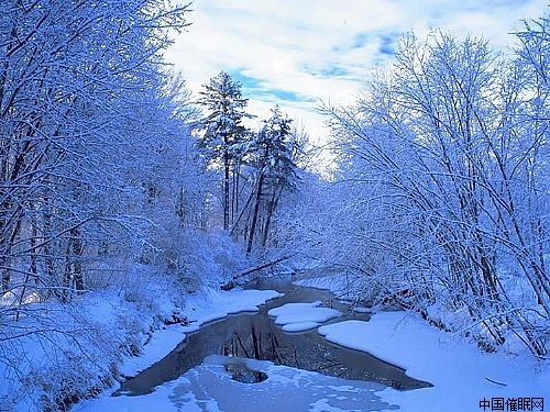 雪的夢幻