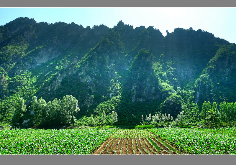 柳河口村