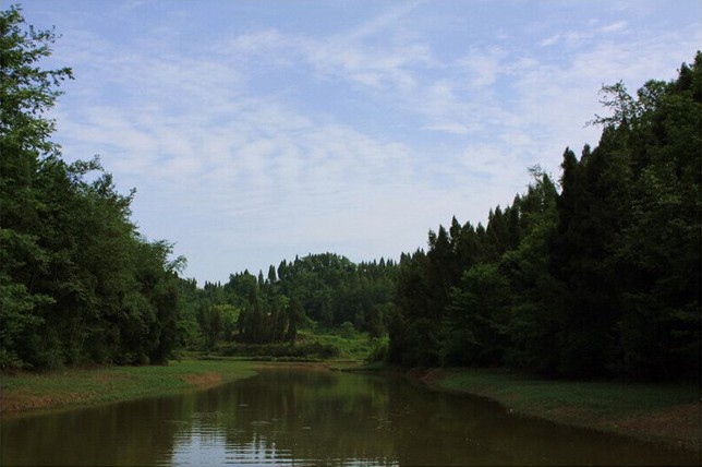 象鼻河風光