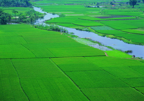 邊湖村