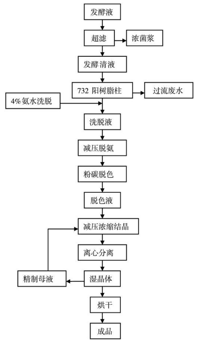 技術路線