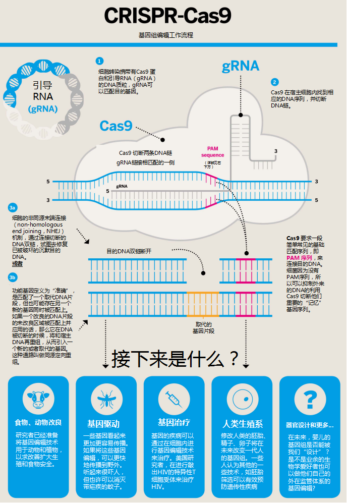 CRISPR-Cas9