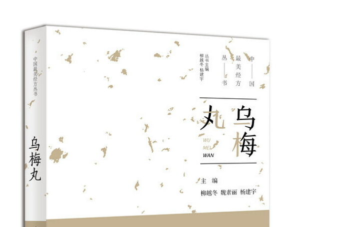 烏梅丸(2019年中原農民出版社出版的圖書)