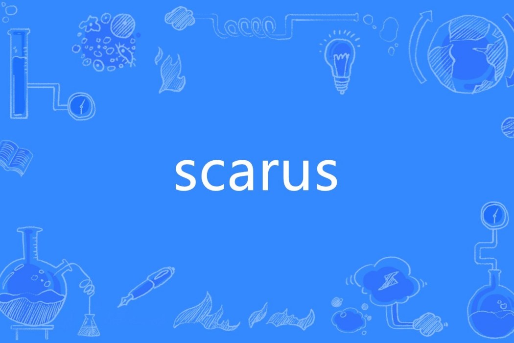 scarus