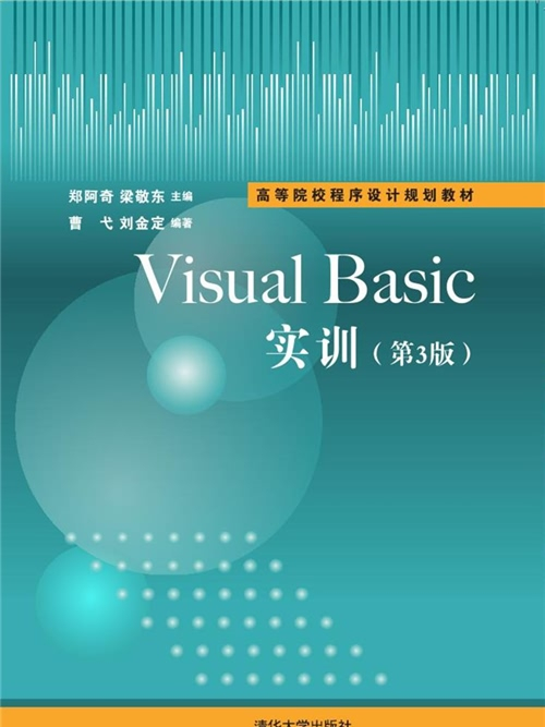 Visual Basic實訓（第3版）