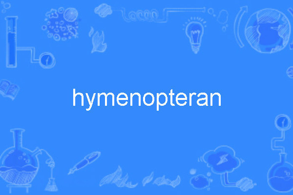 hymenopteran