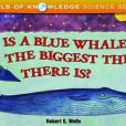 Is a Blue Whale the Biggest Thing There Is?