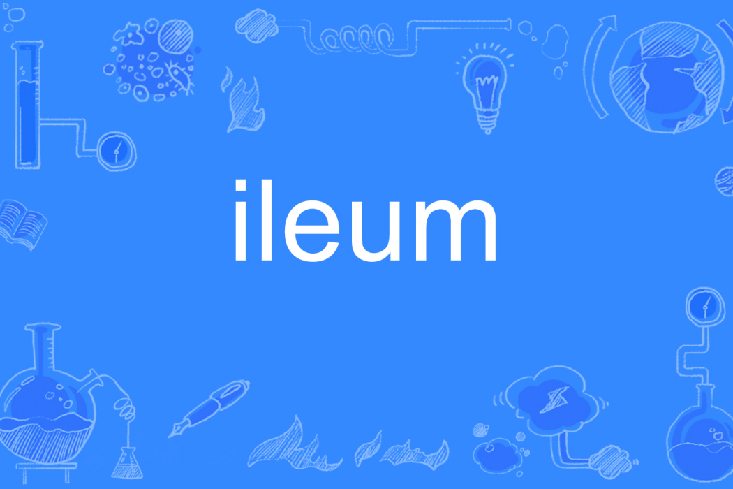 ileum