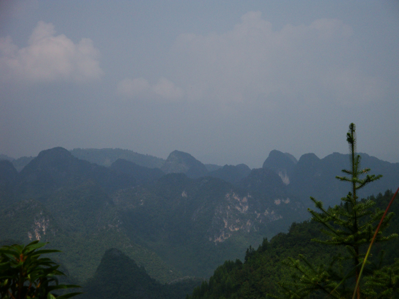 停雷屯