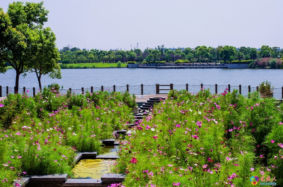 都市菜園