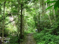 雲隱寺