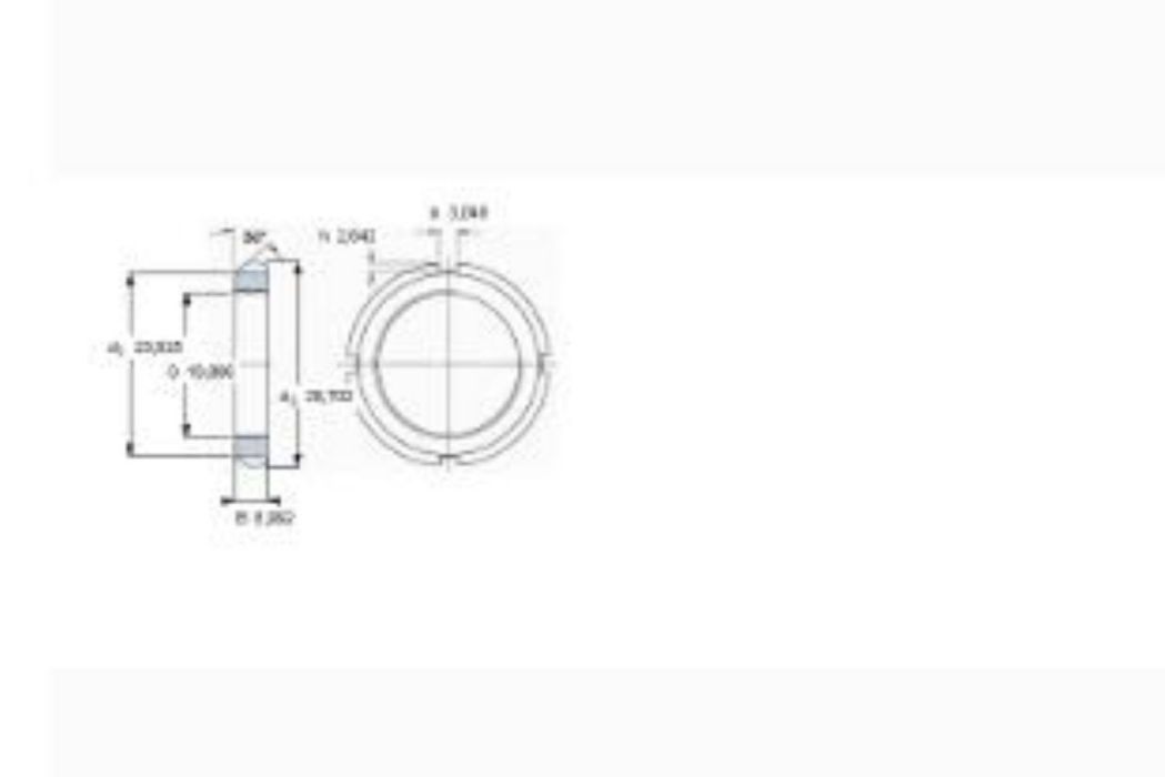 SKF N03軸承