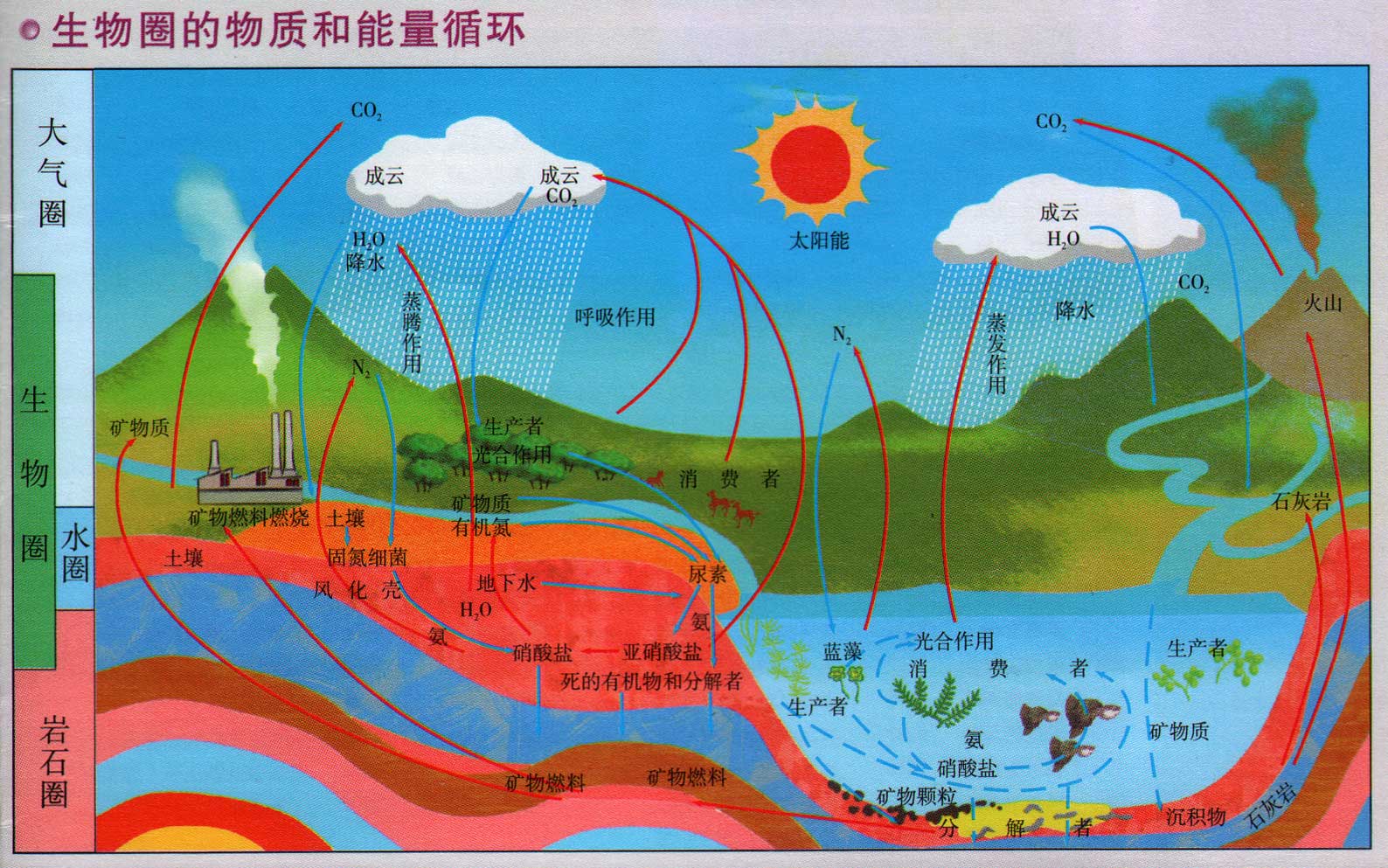 生物化學能