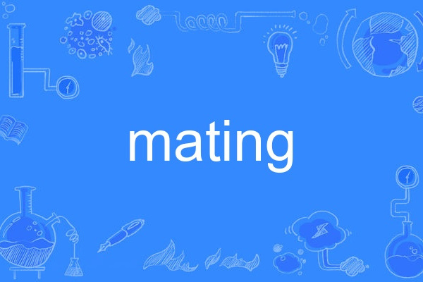 mating(英語單詞)