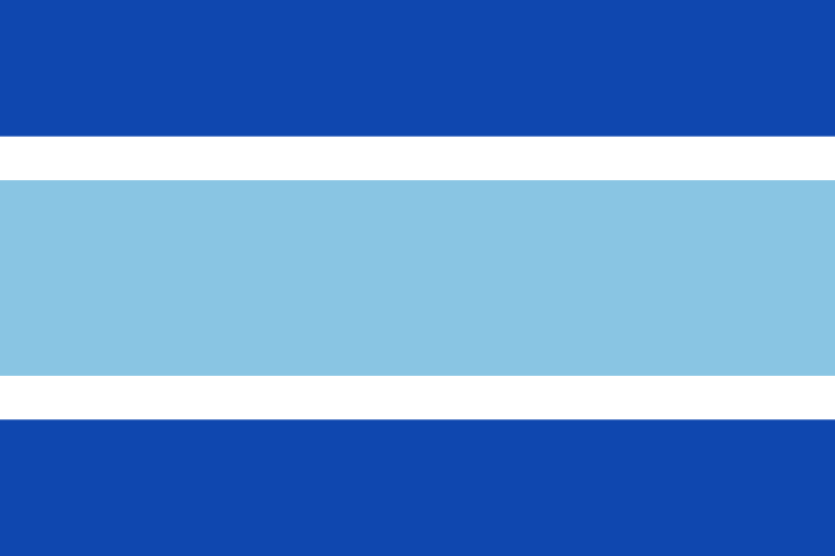 馬爾貝拉市旗