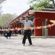 南街街道(寧夏回族自治區石嘴山市惠農區下轄街道)