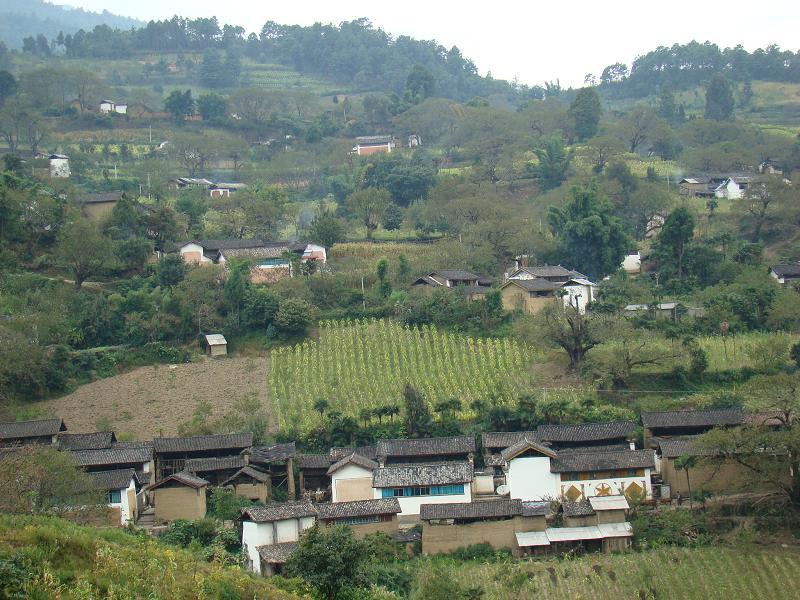 水爐村(雲南省保山昌寧縣耈街彝族苗族鄉水爐村)