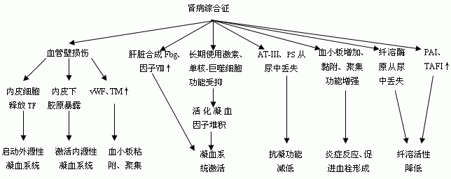 施賽珠