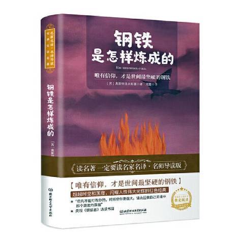 鋼鐵是怎樣煉成的(2020年北京理工大學出版社出版的圖書)