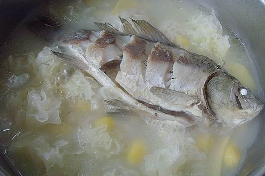 白果鯽魚湯