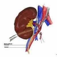 燒傷後急性腎功能衰竭