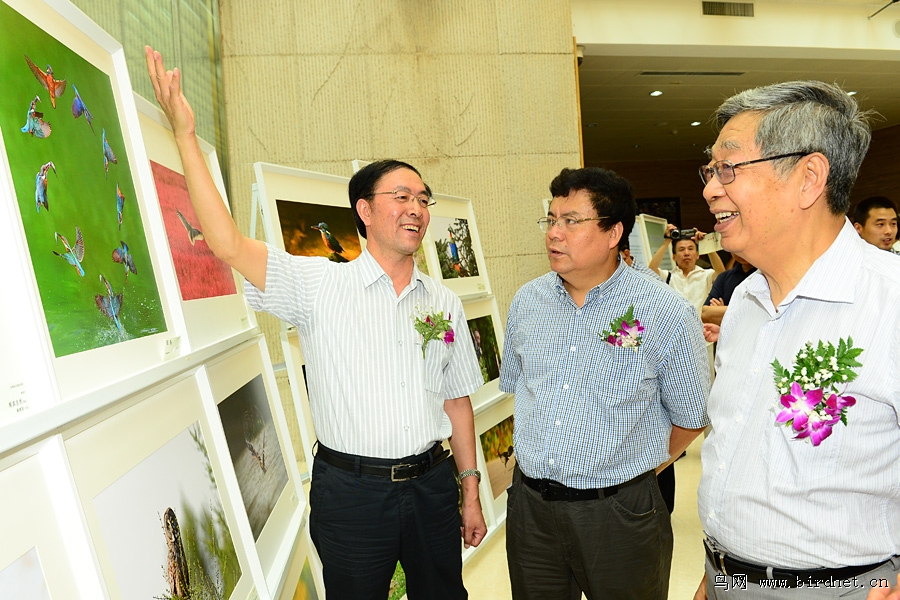 鳥網創始人段文科向首長介紹鳥類圖片