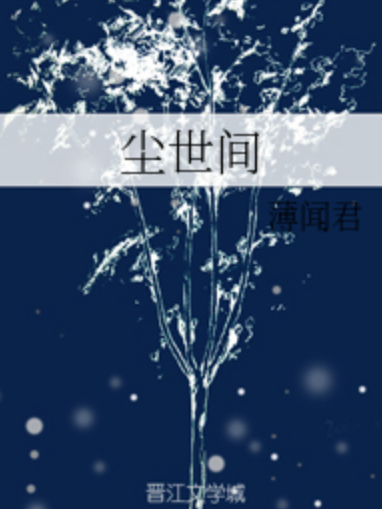 塵世間(薄聞君所著小說)