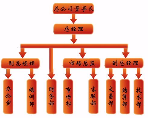 組織結構