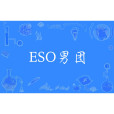 ESO男團(ESO（山寨男團）)