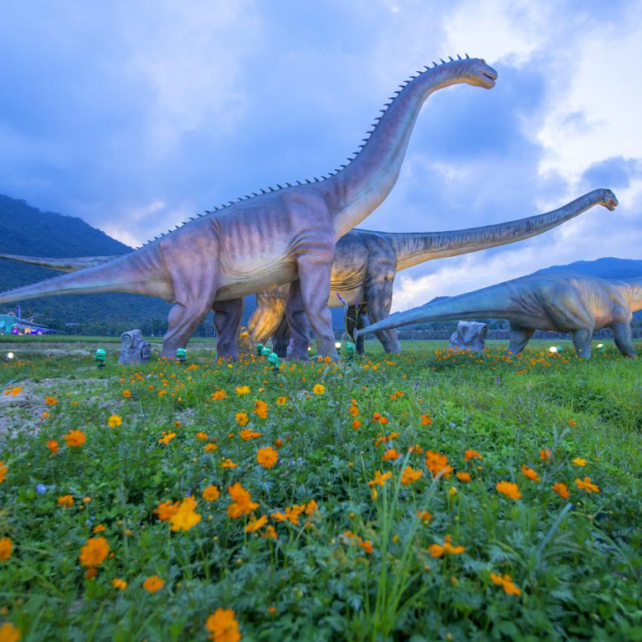 三亞水稻國家公園