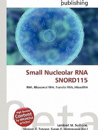 Small Nucleolar RNA Snord115