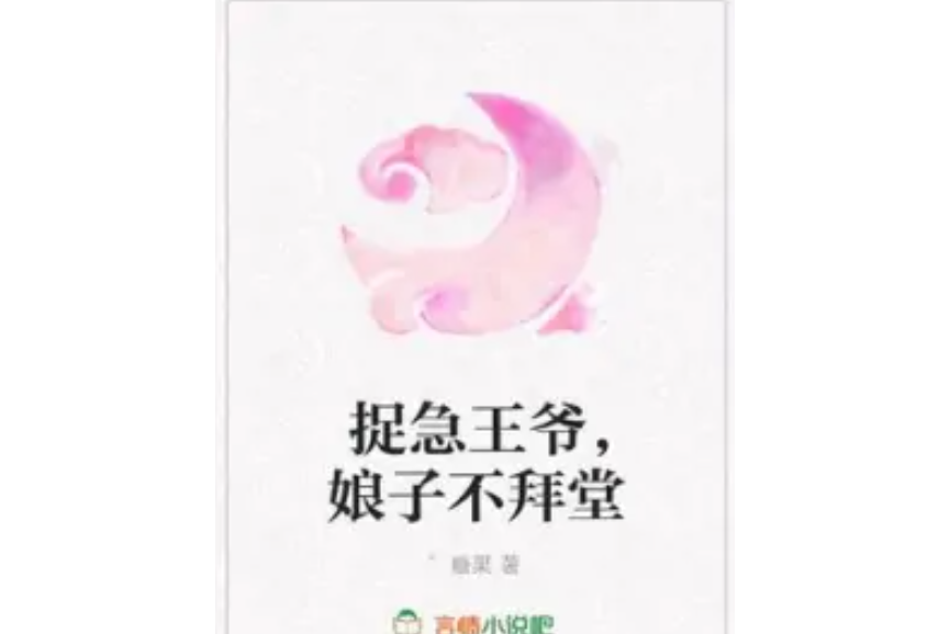 捉急王爺，娘子不拜堂