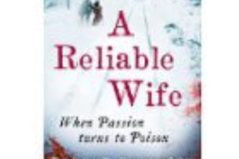 reliable wife b 英文原版