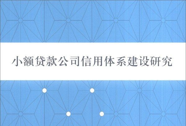 小額貸款公司信用體系建設研究