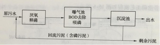 圖1厭氧好氧生物除磷工藝流程